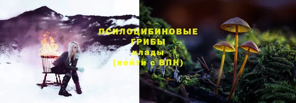 тгк Богородск