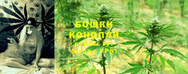 тгк Богородск