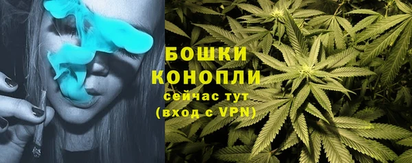 тгк Богородск