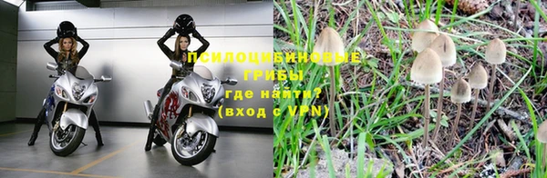 тгк Богородск