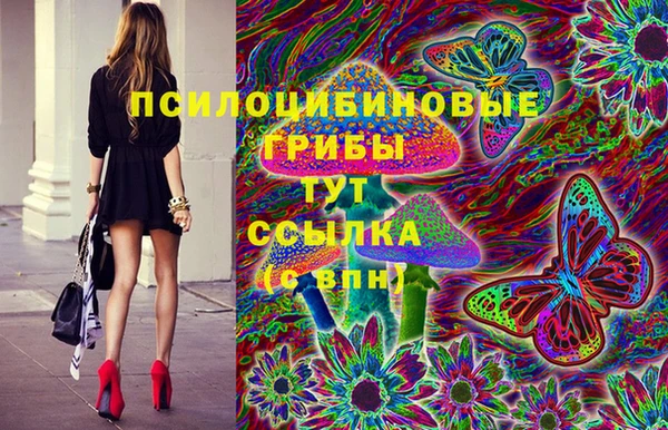 тгк Богородск
