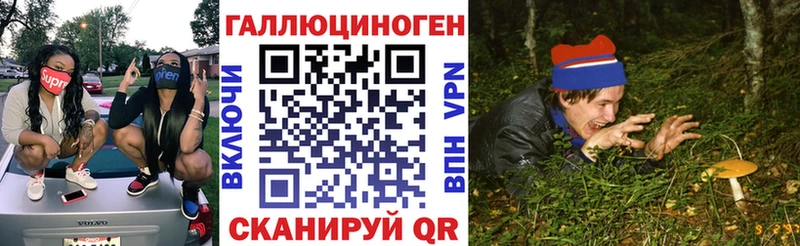 Купить где  Нерюнгри  Галлюциногенные грибы прущие грибы 